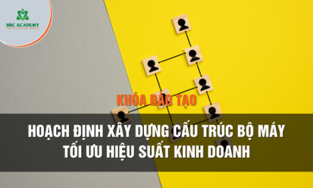 Hoạch Định Xây Dựng Cấu Trúc Bộ Máy - Tối Ưu Hiệu Suất Kinh Doanh